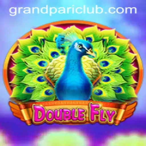 DoubleFly: Revolutionizing Interactive Gaming with Innovative Mechanics